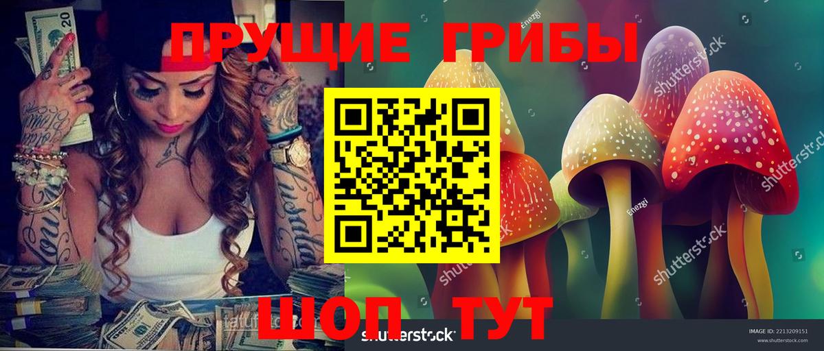 Галлюциногенные грибы мухоморы Печора
